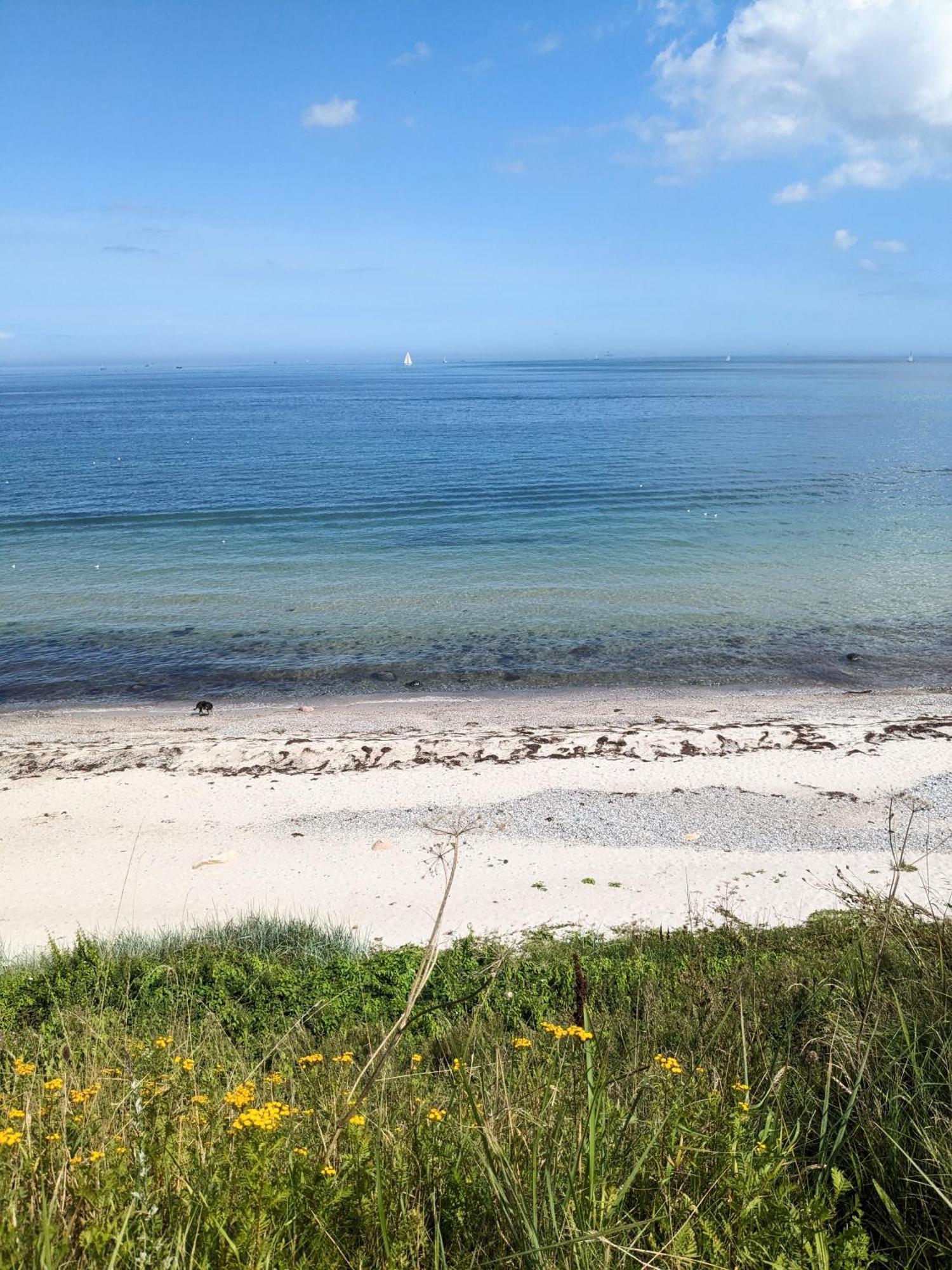 Nordic Bo -Wellen Wald Und Wilde Kueste- Strandnahe Doppelhaushaelfte Mit Waldterrasse Surendorf Экстерьер фото