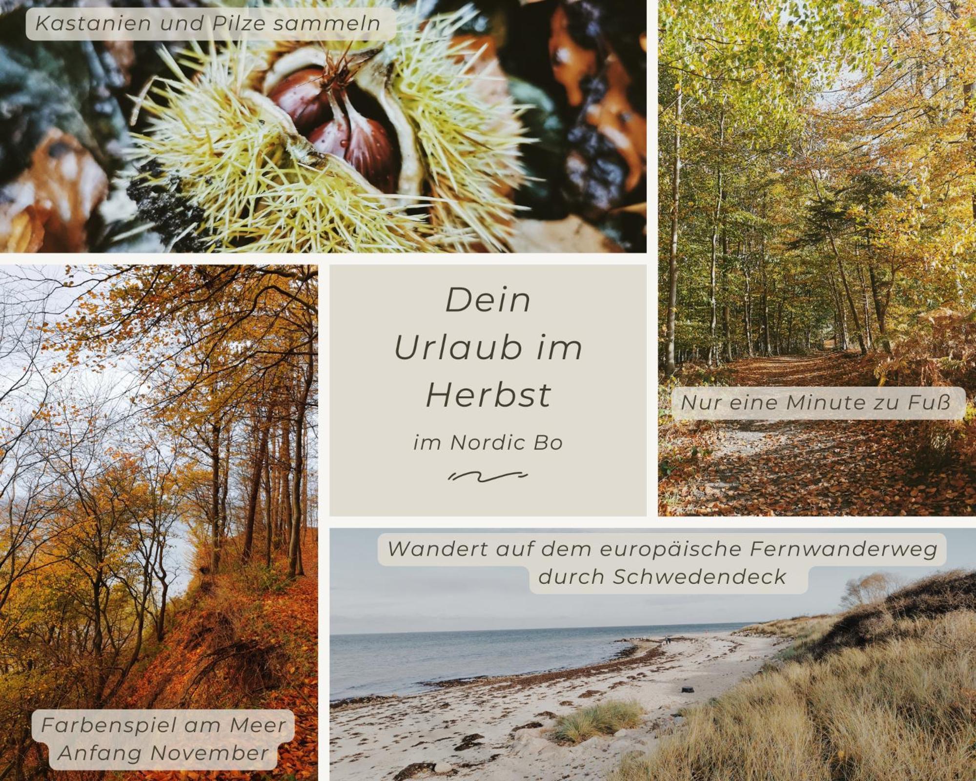 Nordic Bo -Wellen Wald Und Wilde Kueste- Strandnahe Doppelhaushaelfte Mit Waldterrasse Surendorf Экстерьер фото